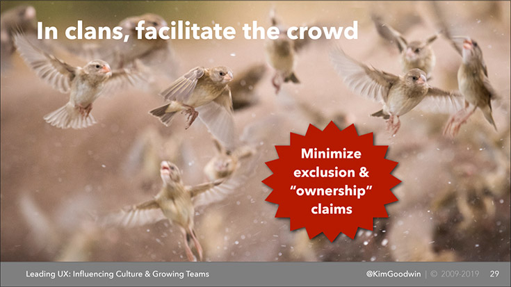 Slide screenshot picturing a group of sparrows and the title "In clans, facilitate the crowd" 