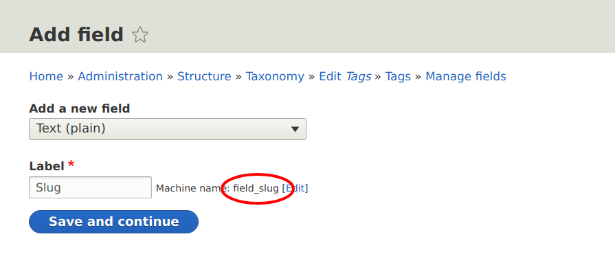 Configuring field slug on taxonomy term